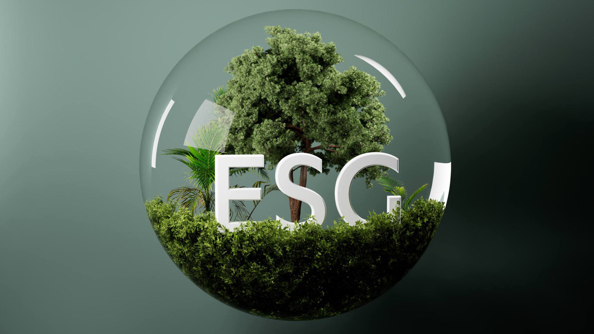 The Crucial Role of ESG in Business Growth and Sustainability in Nigeria