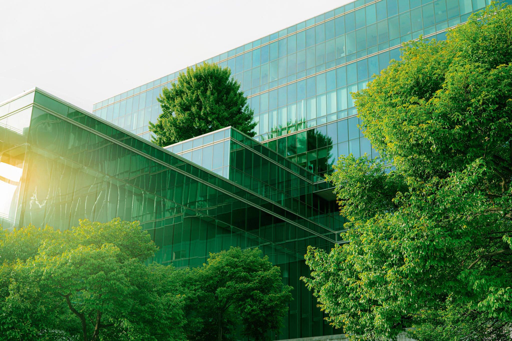 The Crucial Role of ESG in Business Growth and Sustainability in Nigeria